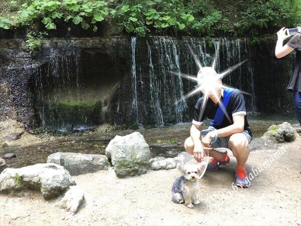軽井沢 白糸の滝 犬